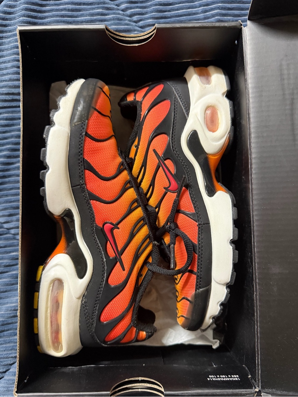 Nike air max plus sunset